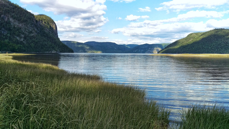 A Journey from Forested Shores to Glittering Horizons