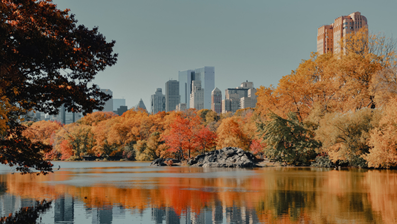 New York City | Day 1