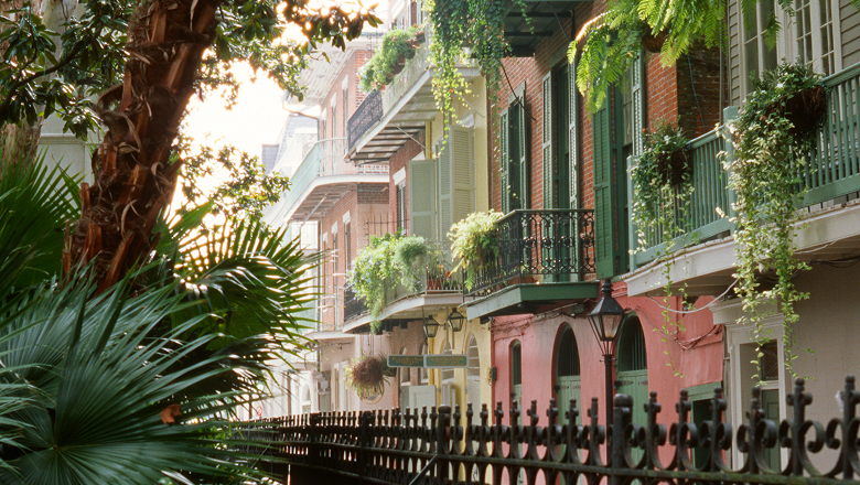 A Journey Bridging the Big Easy & Mystical Ancient Maya