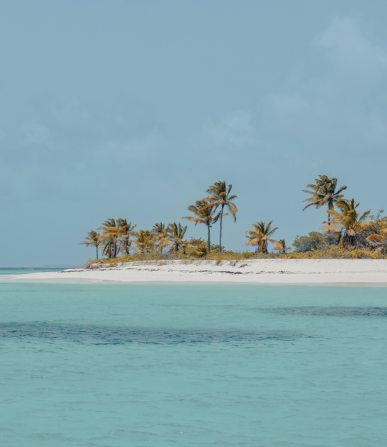 A Journey into Tropical Utopia & Art Deco Flair