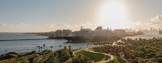 A Grand Journey from Spanish Sunshine to Florida Flowers