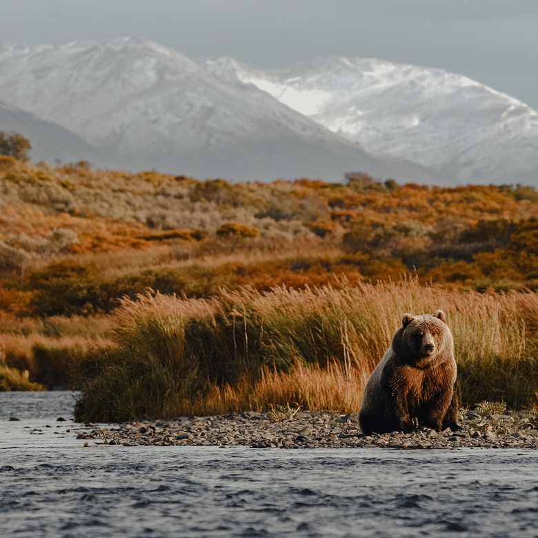 Alaska