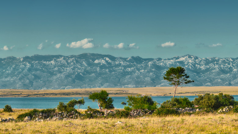 Zadar | Day 7