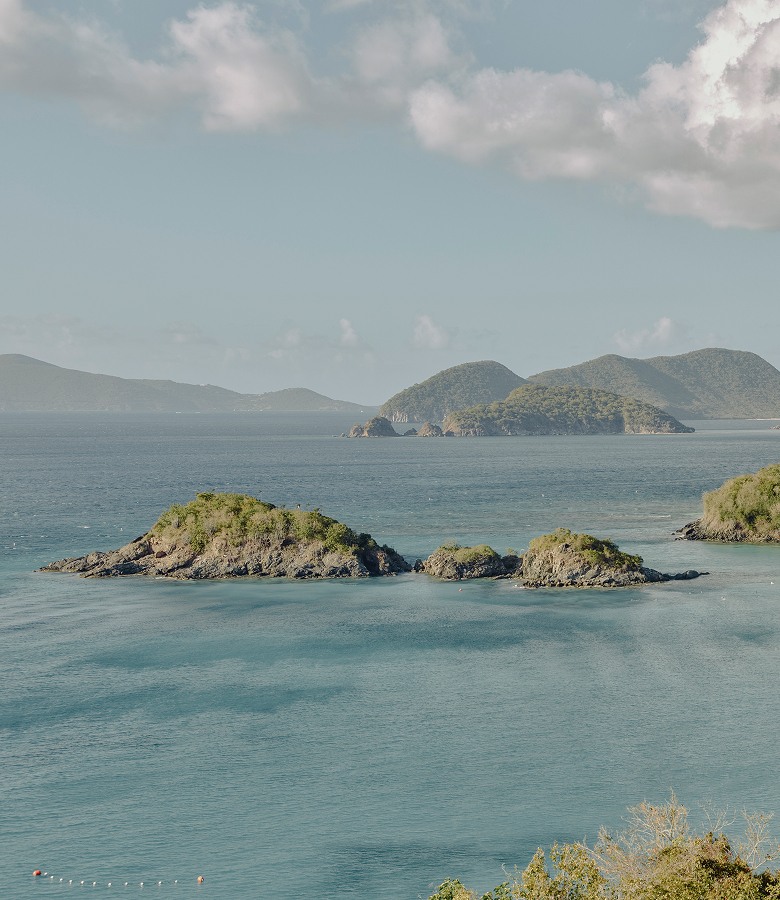 A Journey Savy New Year's Celebrations & Caribbean Conviviality