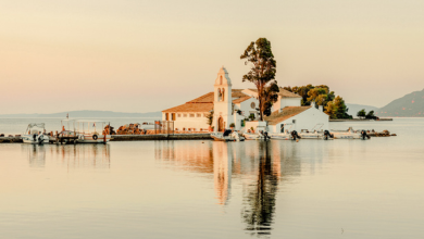 A Journey of Lush Landscapes & Golden Enchantment