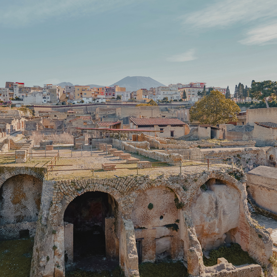 Herculaneum and Wine Tasting