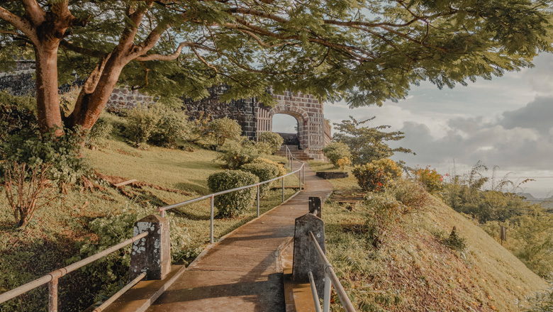 A Journey of Infinite Enchantment in the Lesser Antilles