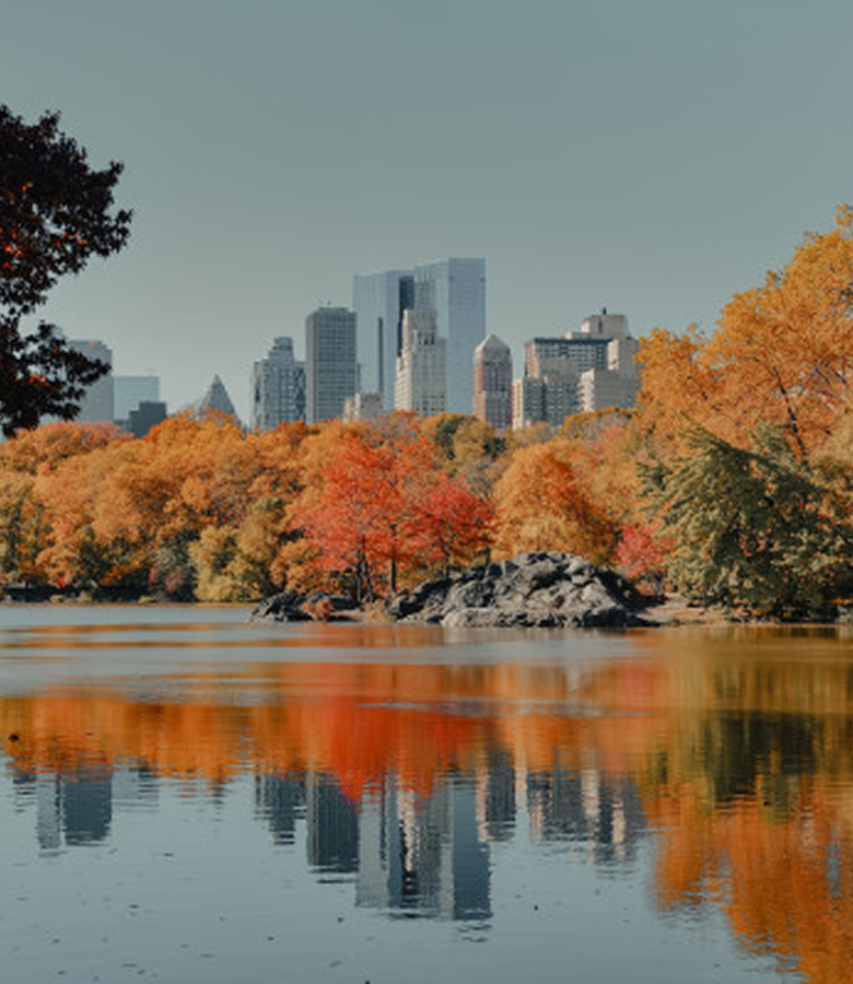 A Journey from Urban Discoveries to Captivating East Coast Scenery