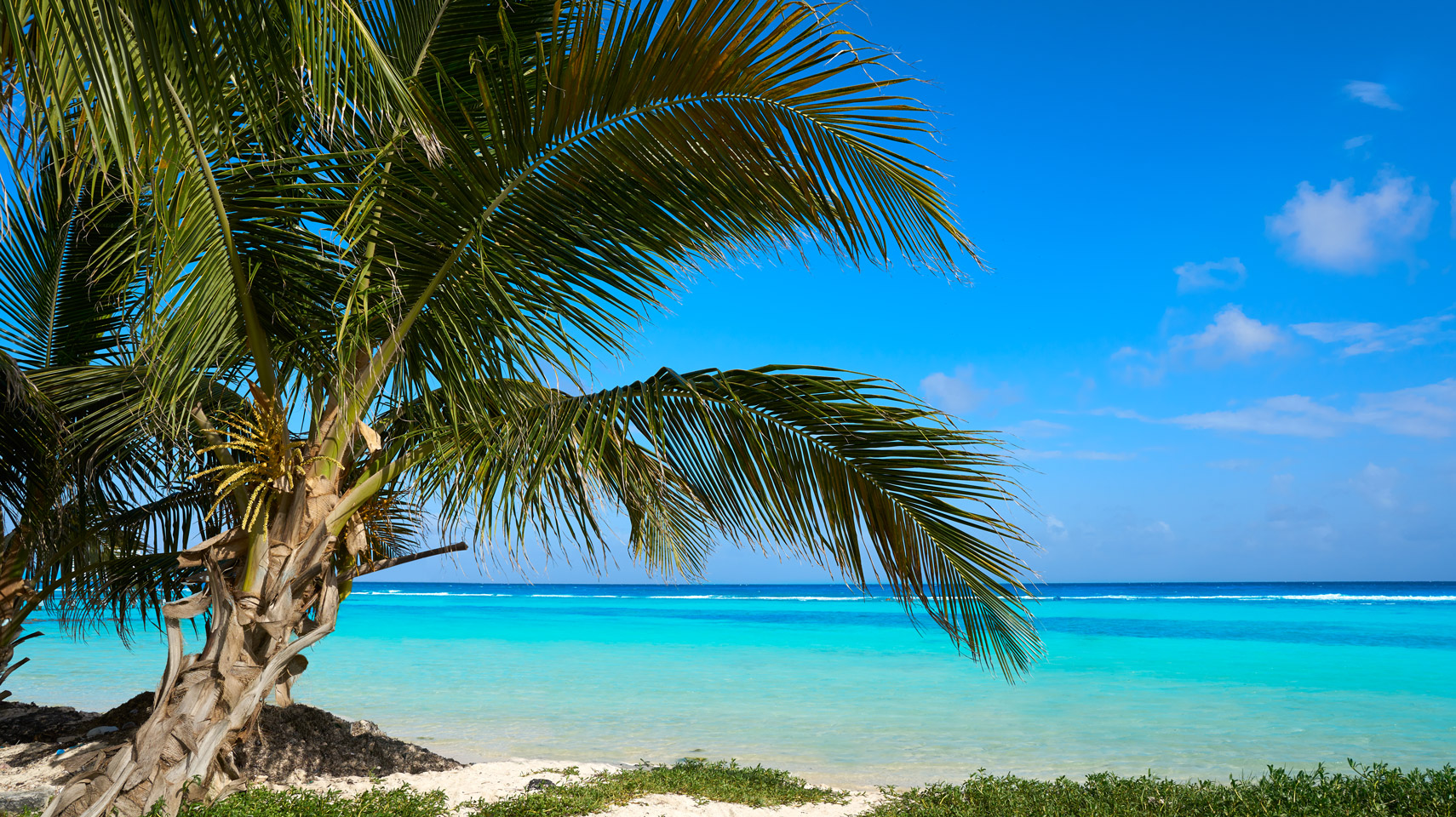 Charmed by the Colours of Mexico's Caribbean Coast