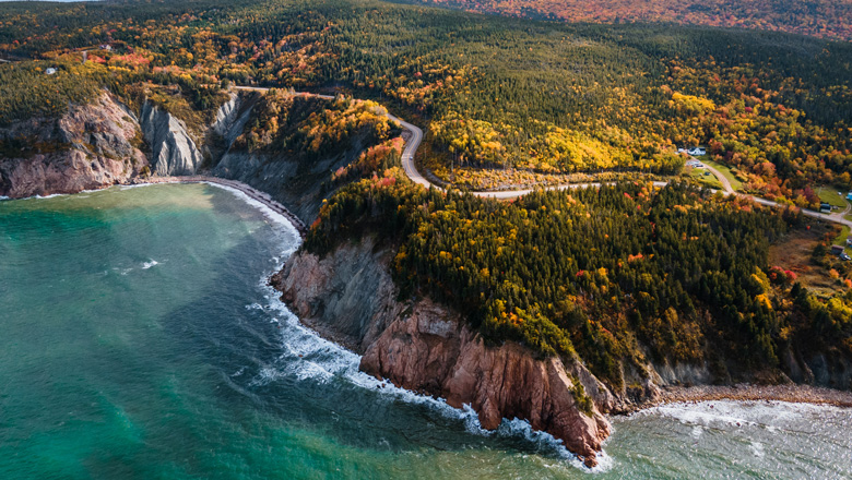 A Journey from Forested Shores to Glittering Horizons