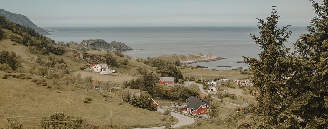 A Journey through Scenic Fjords & Enriching Discovery 