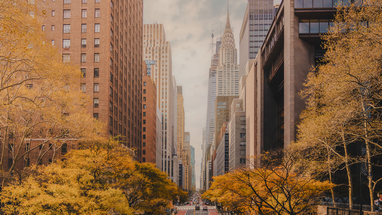 New York City | Day 1