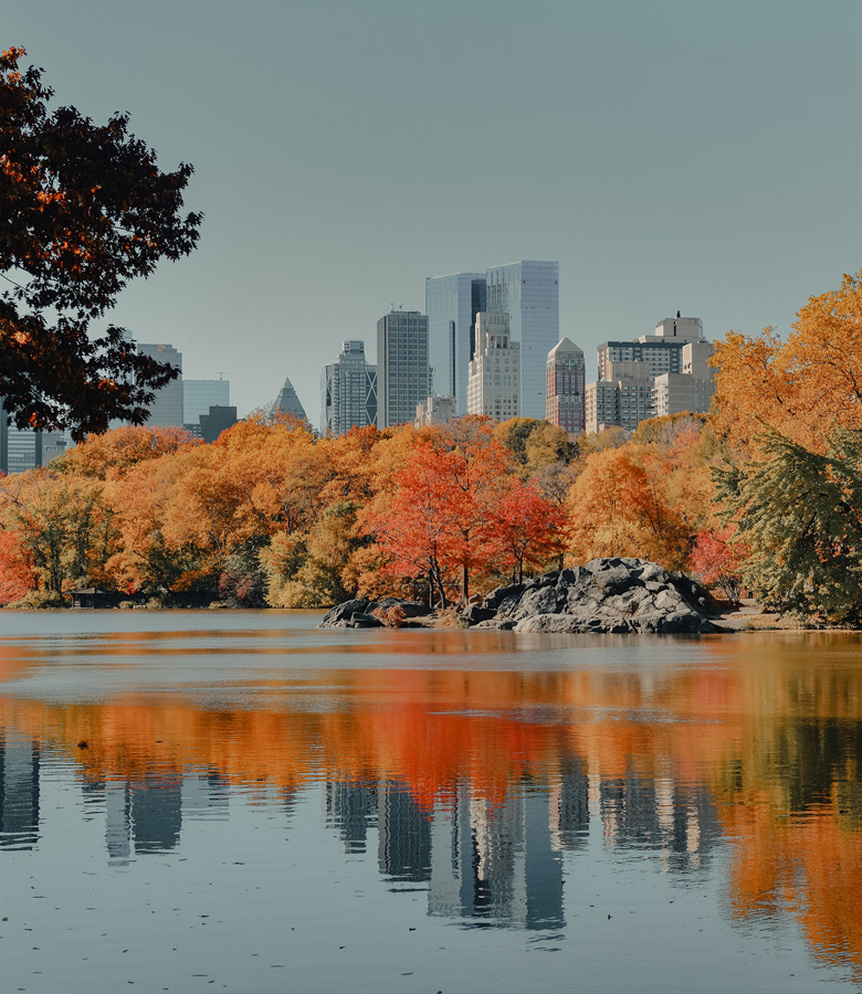 A Journey from Forested Shores to Glittering Horizons