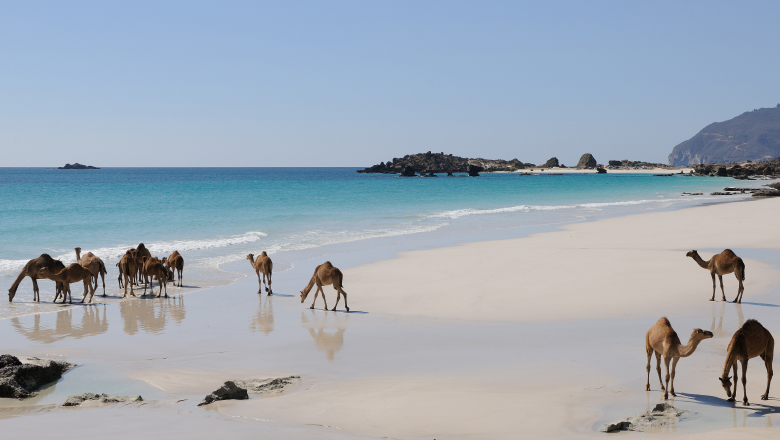 A Journey to the Whispering Sands of Oman