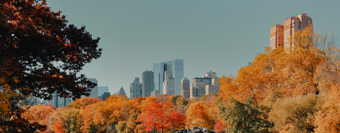 112 Days of Endless Wonder