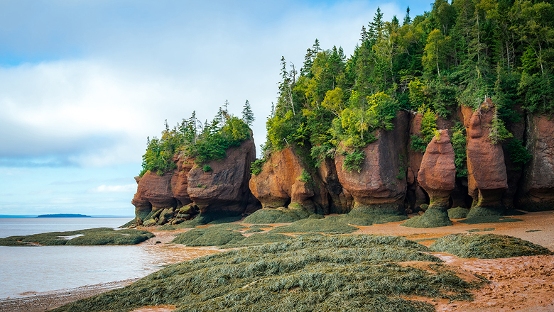 Saint John (Bay of Fundy) | Day 4