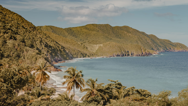 A Journey into Tropical Idylls & Mayan Mystery