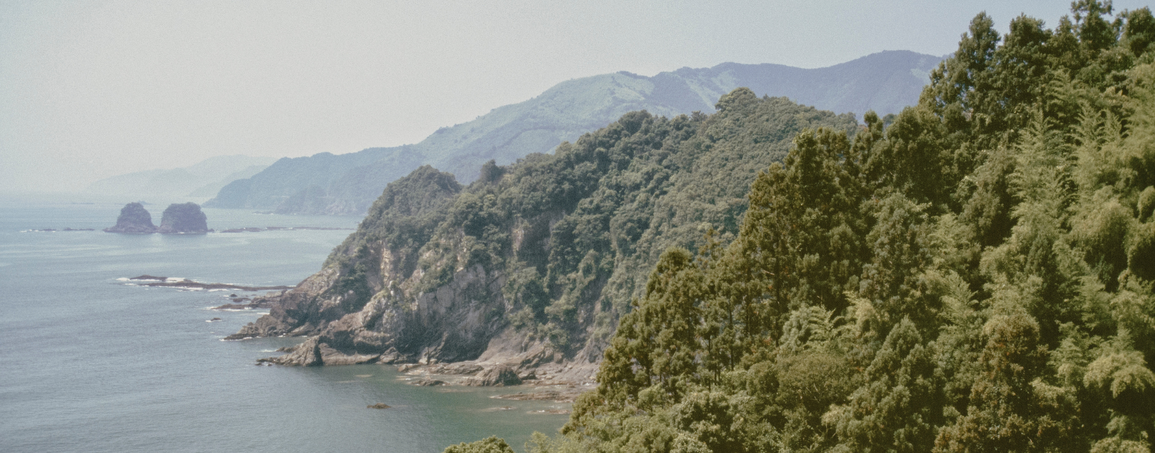 A Journey of Ancient Roots & Colourful Charm