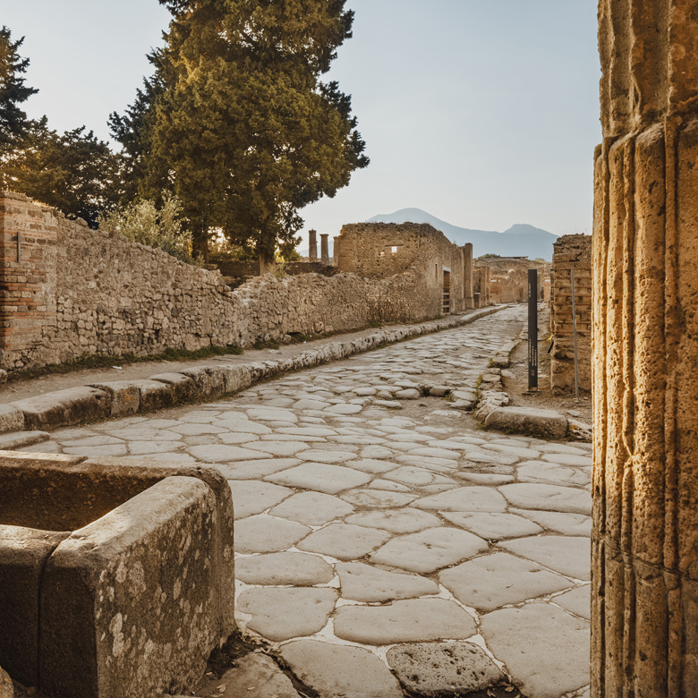 The Essence of the Med