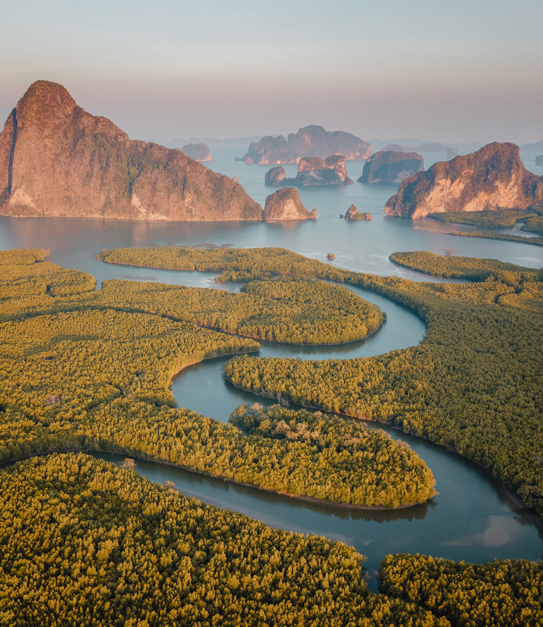 112 Days of Endless Wonder