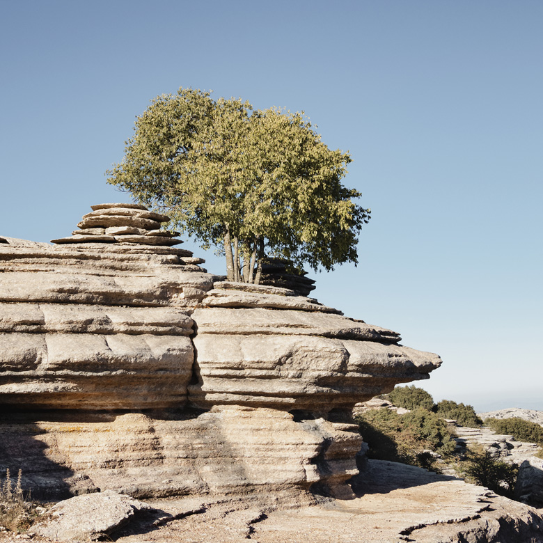 Landscapes of Stillness