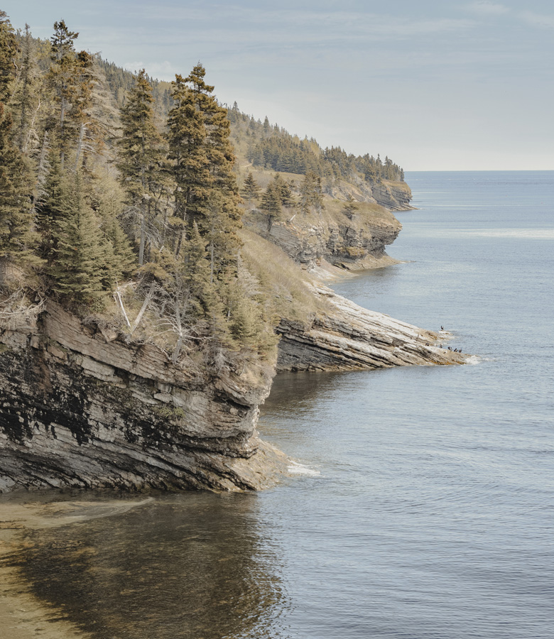 A Journey through Ocean Mists & Radiant Island Tranquillity