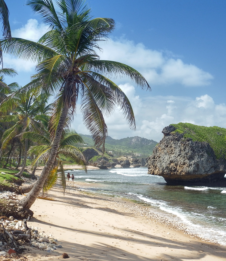 A Journey of Vibrant Landscapes & Island Calm