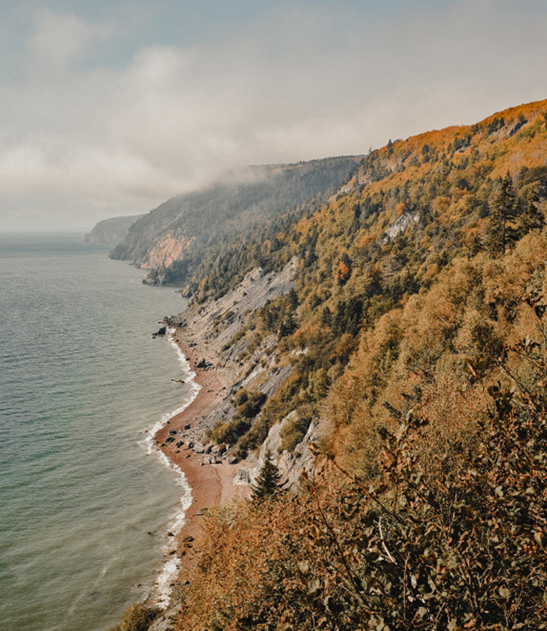 A Journey through North American Gems & Glittering Harbour Beauty